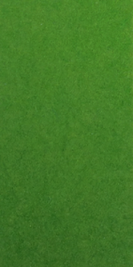 015541 - Feutre Grass Green, au mètre
